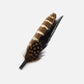 Starling feather cluster - Hornskov